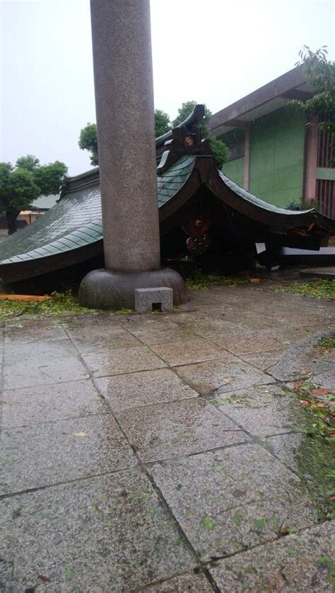 台風 神
